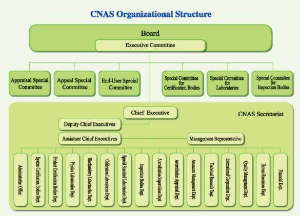 cnas organizational structure